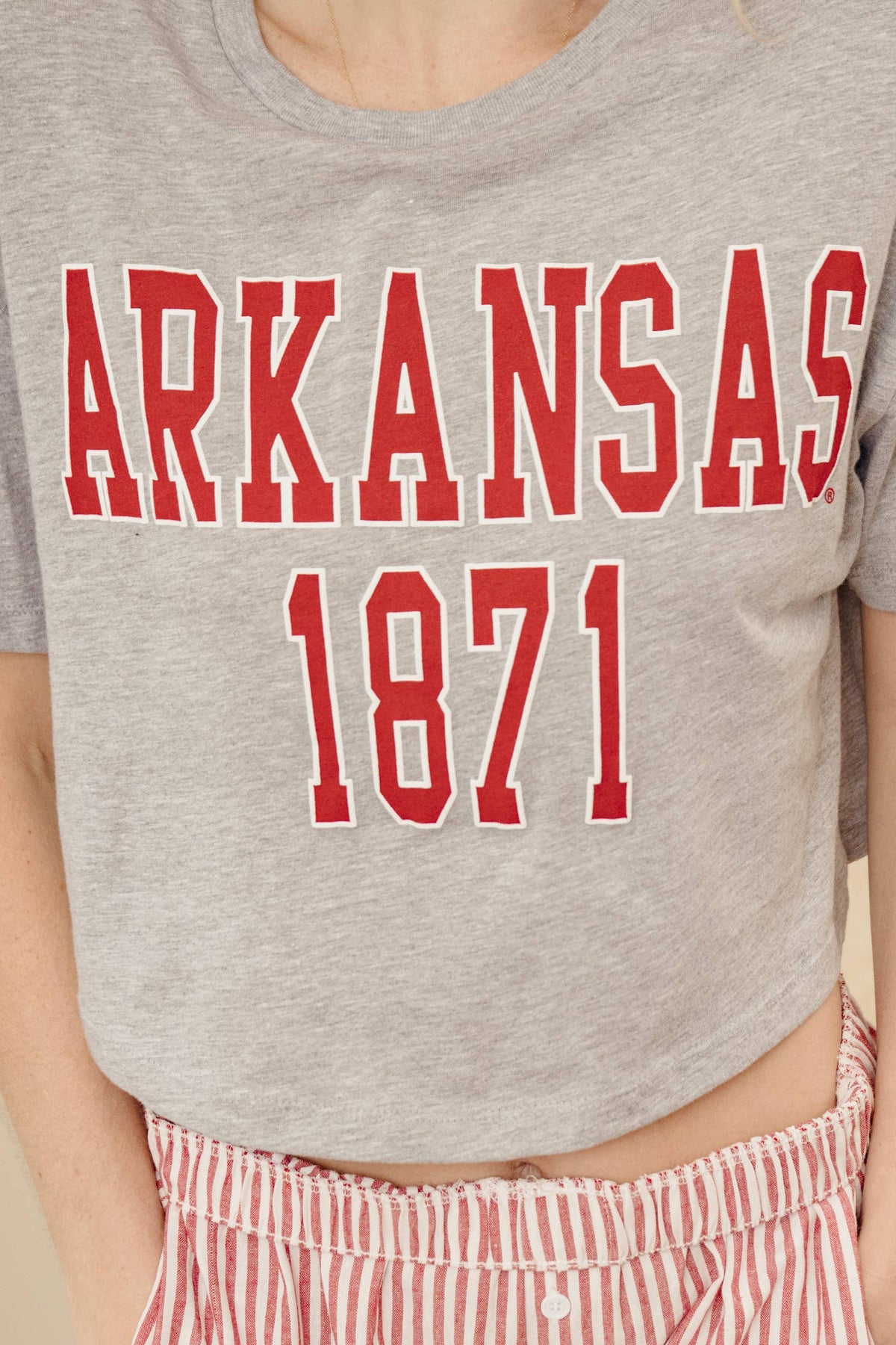 LivyLu - Arkansas Razorbacks College Block Puff Ink Cropped Tee-Grey