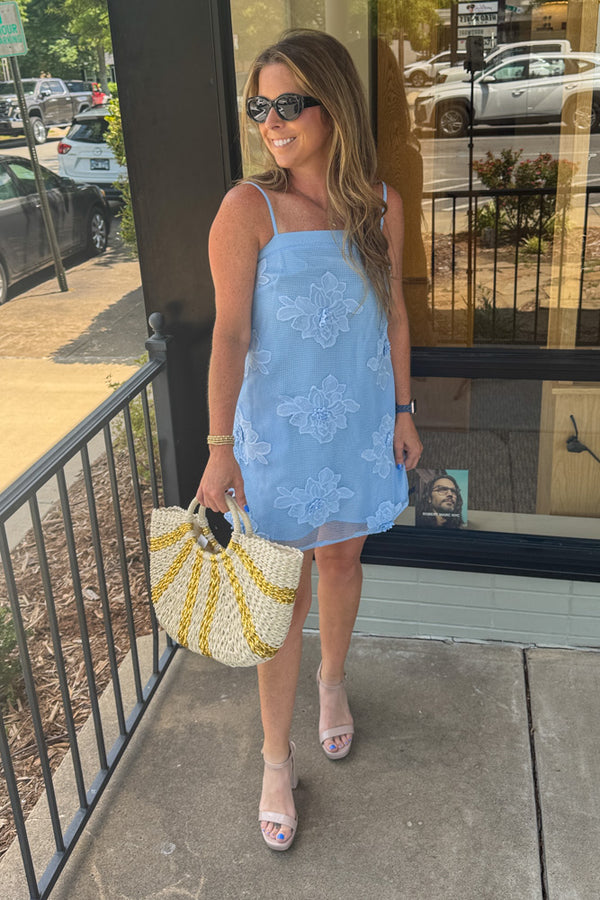 Strut and Bolt Blue Mesh Dress