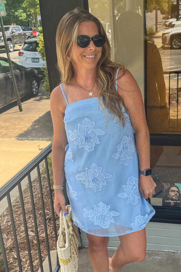 Strut and Bolt Blue Mesh Dress with flowers