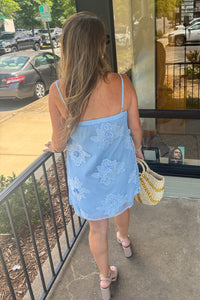Strut and Bolt Blue Mesh Dress back