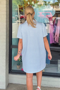 Entro Blue Gingham Dress back