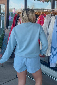 Blue Fish Sweater Back