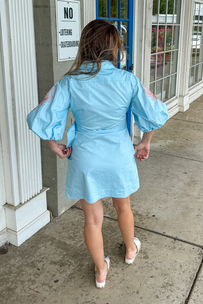 Embroidered Puff Sleeve Belted Mini Dress-Sky Blue/Orange