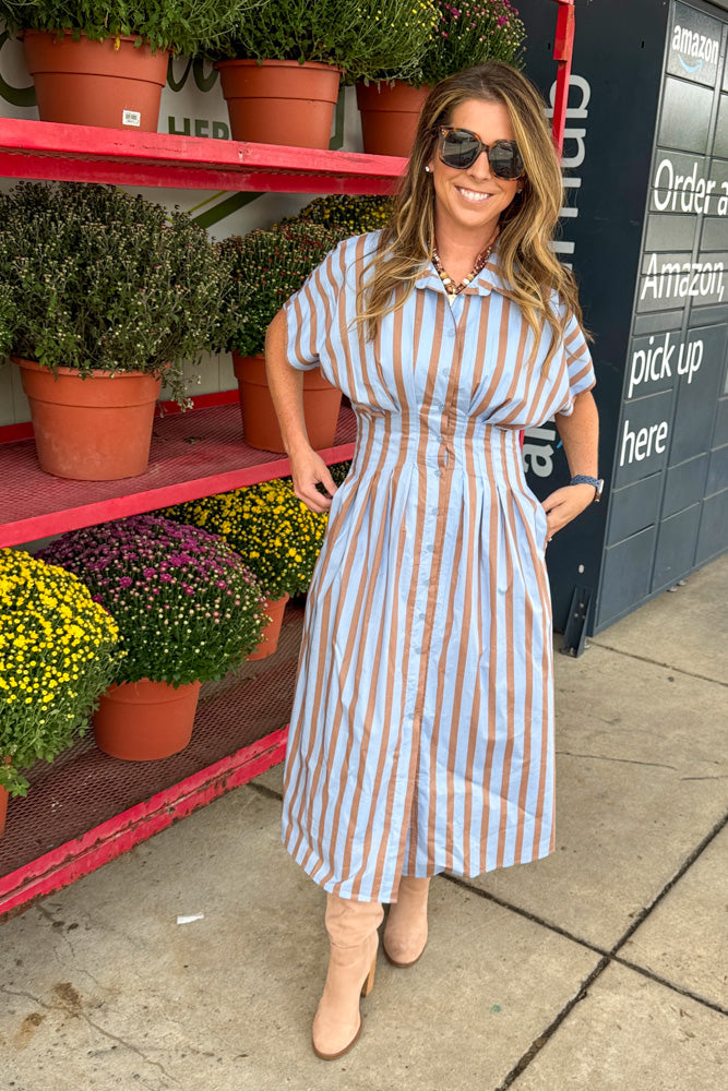 THML Striped Blue and Tan Maxi Dress