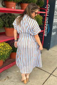 THML Button Up Maxi Dress back