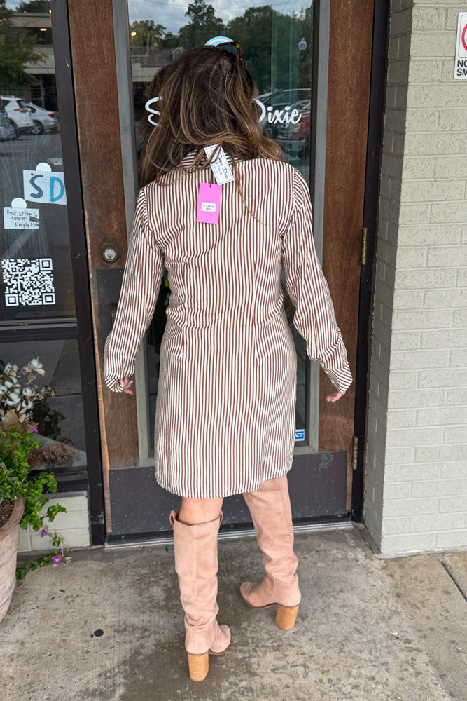THML Long SLeeve Striped Dress Brown back